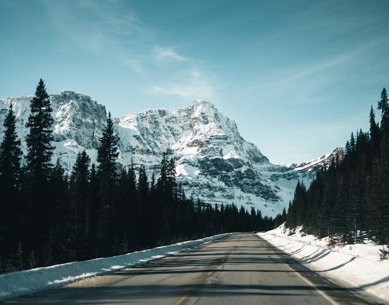 2014 jeep wrangler owner’s manual