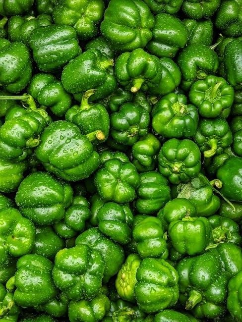 vinayagar agaval pdf in tamil