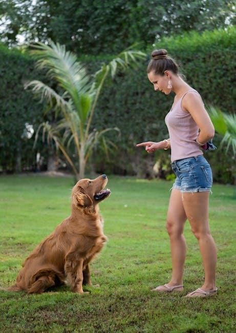 dog training guide pdf